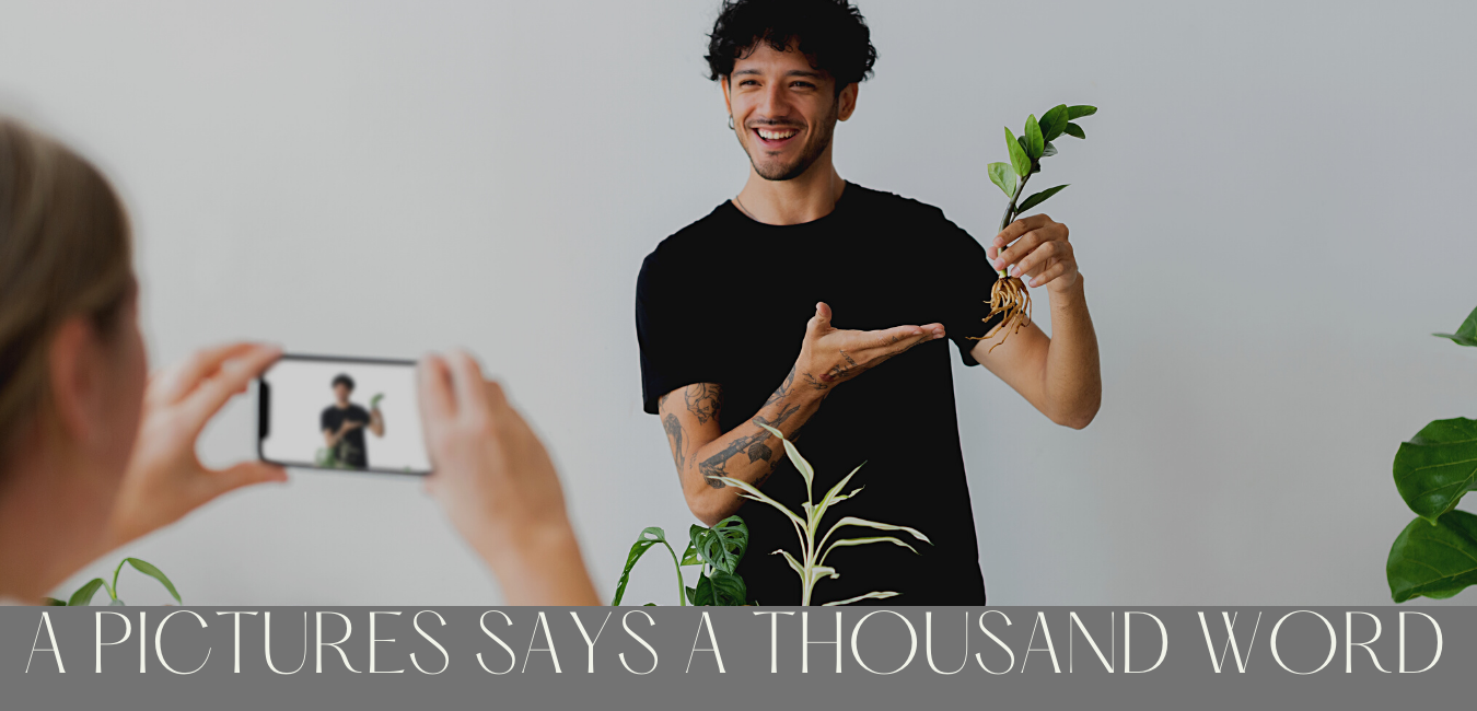 Professional pictures in ecommerce business